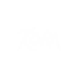 Köra